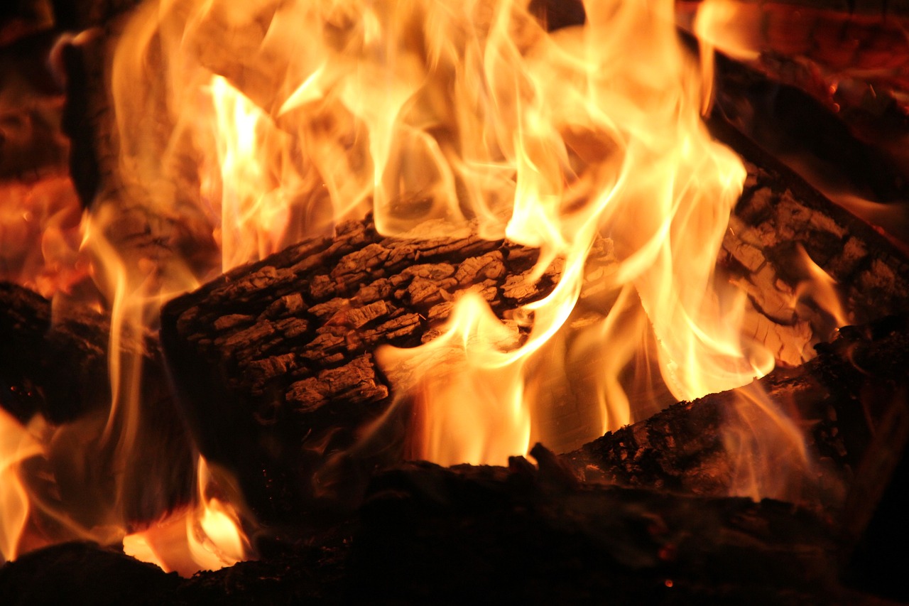 Professional Fireplace Cleaning Services In Justin Texas